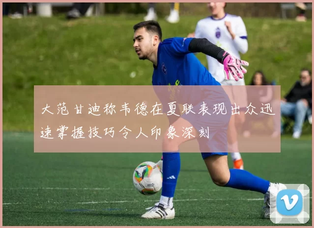 大范甘迪称韦德在夏联表现出众迅速掌握技巧令人印象深刻