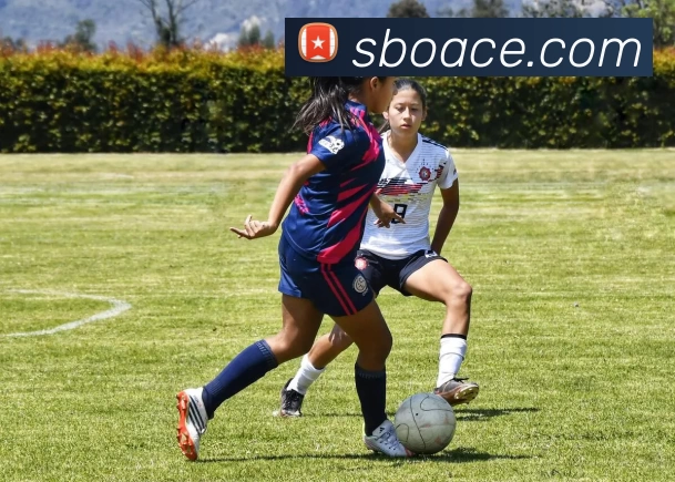 升博体育官网服务体系